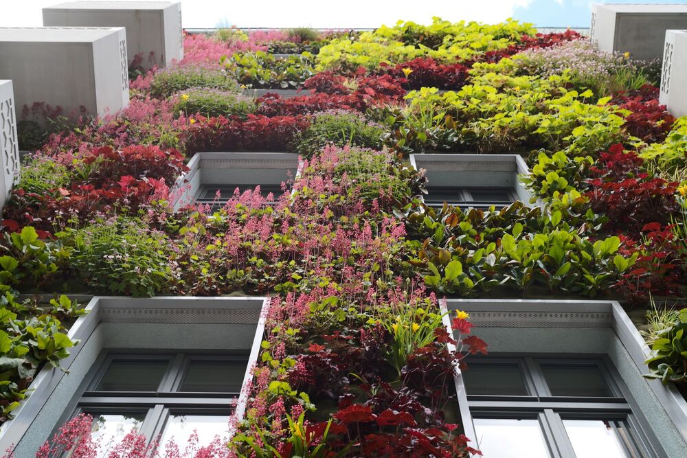 Dass die Pflanzen sich nicht direkt an der Fassade festhalten, ist kaum zu erkennen. (Foto: Skygardens)